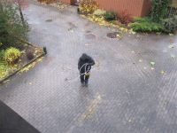 Sotare från ovan Tot takfläkt&nbsp;villa